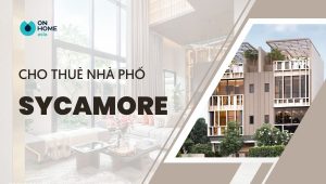 Cho thuê nhà phố sycamore