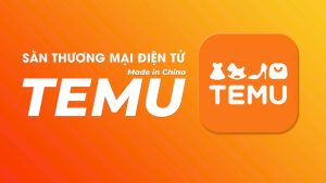 Giới thiệu temu