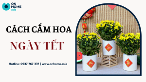 Cách cắm hoa ngày tết