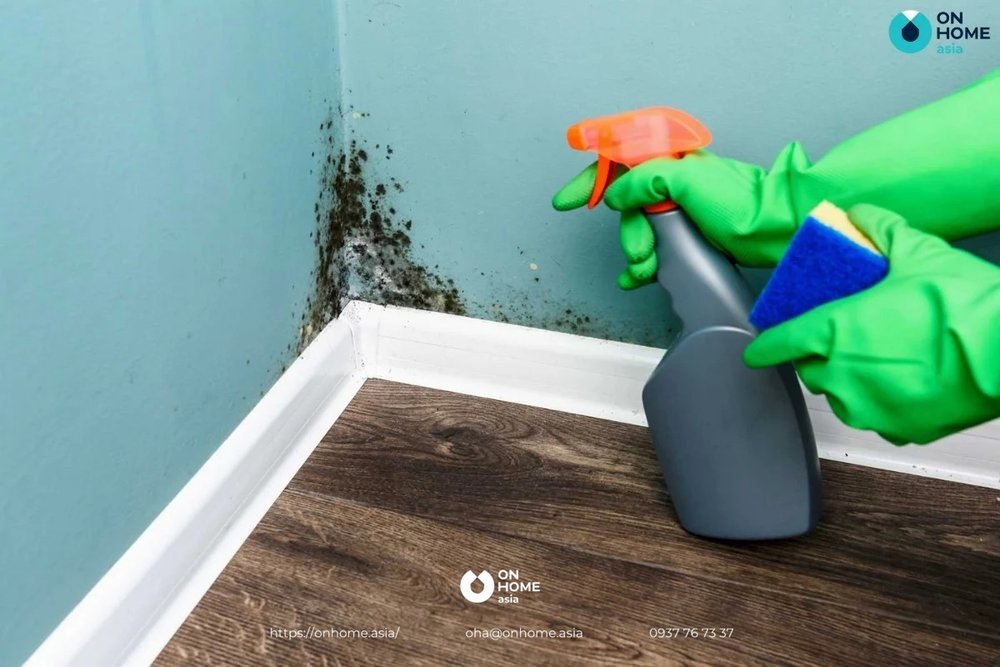 Giấm có công dụng rất tuyệt vời trong việc xóa bỏ nấm mốc trên tường - tẩy vết bẩn trên tường